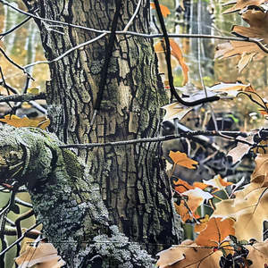 Hunting Wear Clothes Camouflage <b>T</b> <b>Shirt</b> Fishing Real Tree Camo Jacket <b>Shirt</b> Forest Blind Waterfowl Duck Hunting Hoodie for Men - Product Image 6