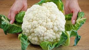 COLIFLOR BLANCA BOTÁNICA/ETIQUETA LIMPIA/VIDA VEGANA - Product Image 6