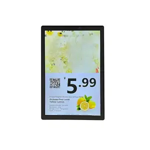 10.1-inch Dual Screen Digital Sign Dual Screen Display Of Product Electronic Price Tag Digital Sign/touch Screen