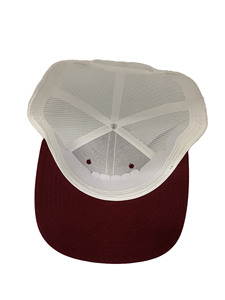 Gorra deportiva personalizada gorras de camionero en la fábrica de Vietnam de alta calidad al por mayor gorras en blanco mezcla de colores gorra Snapback para hombre - Product Image 4