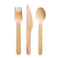 Ensemble de couverts jetables de luxe en bois de bouleau de 165 mm, écologiques et biodégradables, fourchette, cuillère, couteau imprimés, pour camping, vente en gros