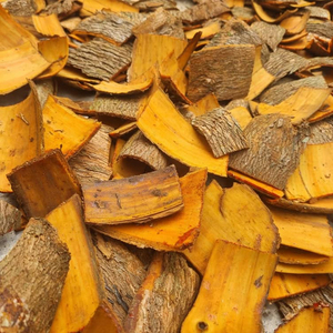 Harungana, madagascariensis - Product Image 2