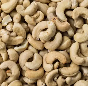 High Quality Cashew Nuts W320 Natural Nuts Wholesale Price for Export from India W180 Cashew Nut for WholeSale