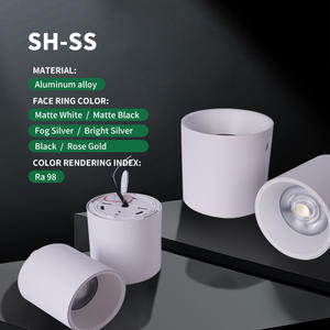 ไฟดาวน์ไลท์ LED ป้องกันสายตา ระดับไฮเอนด์ สไตล์มินิมอล สำหรับติดตั้งภายในอาคาร ค่าความคมชัดสีสูง ขายส่ง - Product Image 2