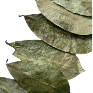 VENTE EN GROS FEUILLES DE SOURSOP SÉCHÉES EN VRAC FEUILLES DE SOURSOL GRAVIOLA THÉ 100% SOURSOP NATUREL SÉCHÉ AU SOLEIL - Product Image 6