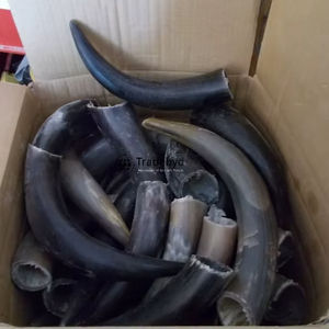 Artisanat en corne de style animal écologique Tradebyd, artisanat artisanal en matériaux organiques, décoration d'intérieur décorative, collection de cadeaux de luxe uniques - Product Image 1