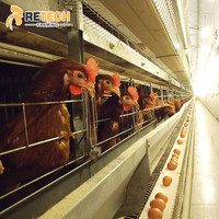 Cage de poulet en batterie, équipement d'élevage automatisé de poules pondeuses pour augmenter la production d'œufs au Nigeria