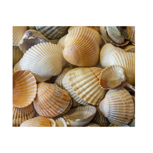 Gobelet écologique fait à la main pour les amoureux de l'océan et des paramètres sur le thème de la mer - Product Image 3