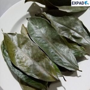 Guanábana seca natural deja un producto de protección de la salud 100% natural de VIETNAM - Product Image 2