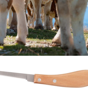 Couteau à sabot incurvé en acier inoxydable de haute qualité, outils de maréchal-ferrant, équipement vétérinaire, garnitures de sabot personnalisables, vente en gros - Product Image 2