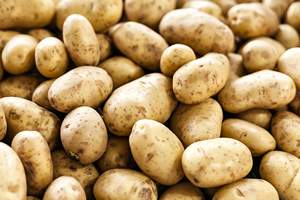 (Solanum Tuberosum) Patates douces fraîches et pommes de terre jaunes - Origine française Durée de conservation de 24 mois En vente - Product Image 5