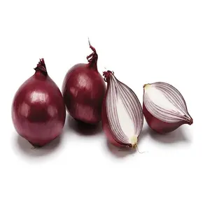 best price fresh 1005 organic yellow onion, red onion, white onion