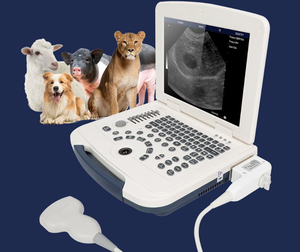 OFERTA: NUEVO STOCK - Sistema Veterinario Portátil 3D con Múltiples Sondas, Ecológico - Product Image 1