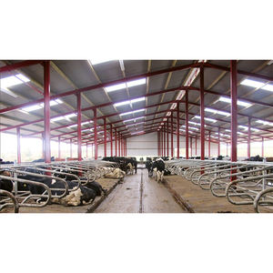 Ferme d'élevage de vaches à construction rapide/étable à vaches en acier pour hangar laitier - Product Image 2