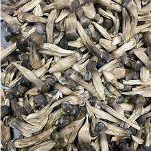 SETA DE TERMITAS SETAS SEDA DE ALTA CALIDAD ETIQUETA LIMPIAR INGREDIENTE NATURAL DE APOYO INMUNE - Product Image 5