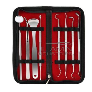 UL AMIN-Détartreurs dentaires parodontaux manuels à double extrémité Curette explorateur pour le nettoyage - Product Image 3