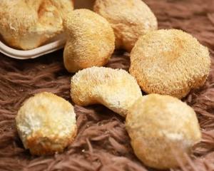 Hongo Melena de León Seco de Vietnam al por Mayor / Proveedor a Granel de Hericium Erinaceus - Product Image 4