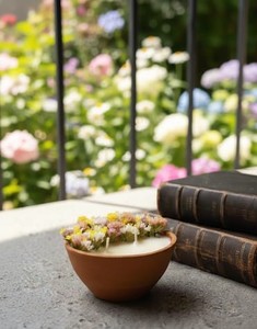 เทียนหอมในกระถางดินเผาทำมือแบบดั้งเดิม เป็นมิตรกับสิ่งแวดล้อม พร้อมดอกไม้แห้งออร์แกนิก มีจำหน่ายในราคาขายส่งจากโรงงาน - Product Image 6