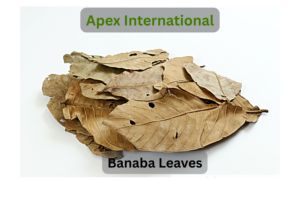 Hojas de Banaba, Hoja de Banaba, Hojas de Té de Banaba, Hojas de Banaba Secas, Hojas de Banaba al por Mayor, Hojas de Banaba a Granel - Product Image 3