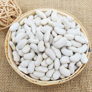 White Kidney <b>Beans</b> for Food Processing Canning and Cooking - Product Image 5