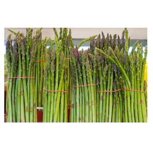 Asperges Fraîches Biologiques de Couleur Verte Produit de Haute Qualité en provenance de France 20kg - Product Image 4