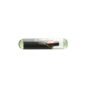 Chiavi Silca Transp. 'chip T48' pour Auto Gr.92 - Product Image 1