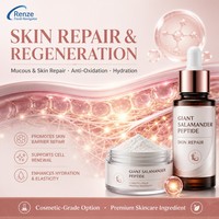 Poudre de peptide de salamandre géante, extrait de peptide d'Andrias Davidianus, poudre fine pour les soins de la peau, les produits nutritifs et cosmétiques