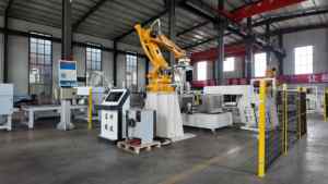 CHANGTENG China Robot Palletiseerrobot Pilaar Kolom Palletiseerrobot China Automatische Palletiseerrobot Robotische Palletiseerrobot voor Karton - Product Image 4
