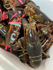 มีในสต็อกและพร้อมที่จะส่งมอบหางกุ้งก้ามกรามแช่แข็งและมีชีวิตอยู่ - Product Image 6