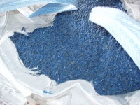 PLASTIQUE HDPE BROYÉ-FLOCONS DE CAISSES MÉLANGER LA COULEUR ou LA COULEUR TRÉE DANS DE GRANDS SACS DÉCHETS