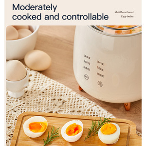 Casa piccola macchina per la cottura a vapore e l'ebollizione, dispositivo per la cottura delle uova completamente automatico e multifunzionale - Product Image 1