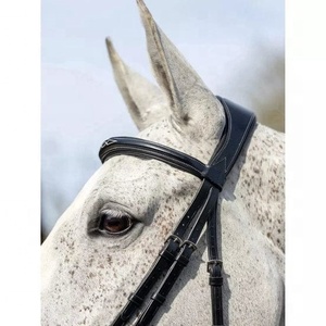 Brida de cuero negro cómoda y personalizada al por mayor, brida de Carreras de Caballos duradera, el mejor precio para montar - Product Image 2