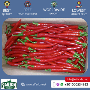 Giá cả cạnh tranh cao cấp lớp chất lượng hàng đầu nóng và cay Ai Cập tươi màu xanh lá cây ớt/tươi Ớt Đỏ từ đáng tin cậy Nhà cung cấp - Product Image 6