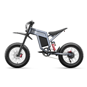 Bicicleta Eléctrica de Montaña EKXBIKE 48V 750W, Llanta Gruesa de 20 Pulgadas, Suspensión Completa, Motor en el Buje Trasero, 7 Velocidades, Frenos de Disco Hidráulicos, Aleación de Aluminio - Product Image 5