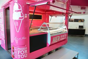 รถเข็นขายอาหารอเนกประสงค์แบบลากออกได้สำหรับสตรีทเคลื่อนที่ได้มีชิปสำหรับวางอาหารทำจากไฟเบอร์กลาส - Product Image 4