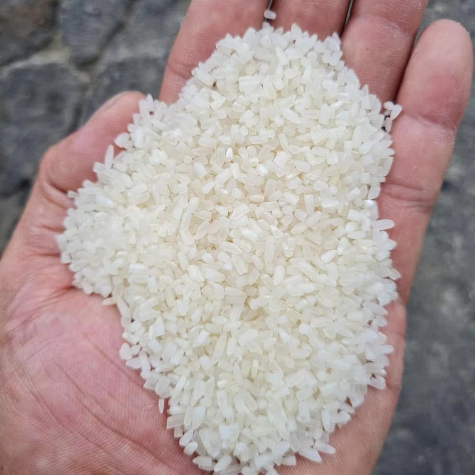 100% сломанный рис производитель длиннозерный белый рис