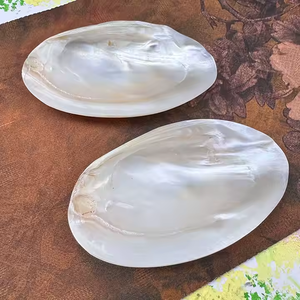 Conchiglia di vongole naturali giganti 10-11 "madreperla mezza conchiglia per vaschetta decorativa nautica costiera - Product Image 1