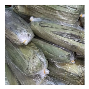 Exportador de Vietnam que proporciona envíos consistentes de hojas de bambú secas proveedor internacional de confianza de auténtica hoja de bambú seca - Product Image 6