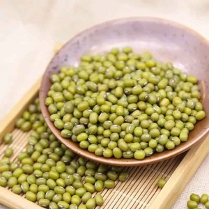 Organic Mung <b>Beans</b> Clean Sorted Bulk Supply - Product Image 5