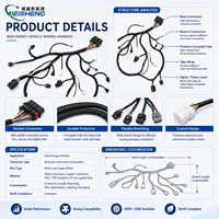 Faisceau de câblage haute tension EV 600V, connecteur de batterie BMS pour véhicule électrique