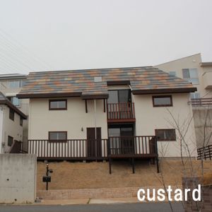 Matériaux traditionnels économiques Construction durable Revêtement de bâtiment Pigment de plâtre - Product Image 3