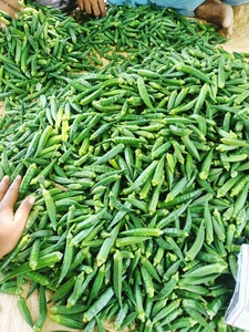 เมล็ดกระเจี๊ยบอ่อนอันมอล - Product Image 2
