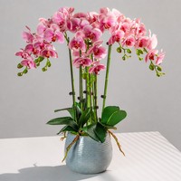 Orchidée Phalaenopsis artificielle réaliste faite à la main, plante en pot, fleur en soie blanche, pot en céramique, décoration de table pour la maison ou le bureau