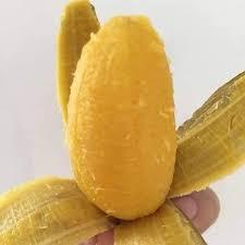 Savia congelada Banana Vietnam Exportador Precio al por mayor - Product Image 5