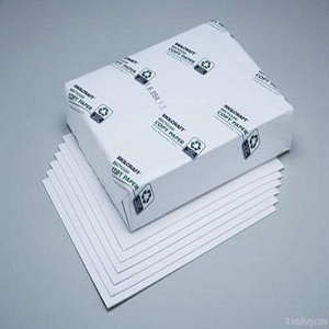 Papier copie A4 PaperOne 80g 100% pâte de bois blanc de Bangkok - Product Image 6