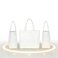Sac isotherme Tyvek personnalisé avec logo, directement de l'usine. Sac isotherme imperméable OEM/ODM en gros pour pique-nique, voyage et promotion