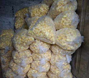 เวียดนามสับปะรดแช่แข็งหั่นชิ้น iqf สับปะรดแช่แข็งหั่นสี่เหลี่ยมลูกเต๋าสำหรับสมูทตี้ขนมหวานและอุตสาหกรรมเครื่องดื่ม - Product Image 5