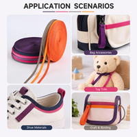Sangle tissée à fines côtes aspect nylon 10 mm, couleur personnalisée, sangle étroite pour sacs, jouets, chaussures, accessoires pour animaux de compagnie