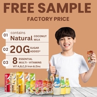 VINUT 330ML Kokosmelkpuree Aangepaste Sapdrank Vietnam Drank Groothandel OEM ODM Export Leverancier