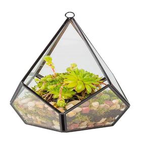 Terrario de Cristal Decorativo Homer en Cristal con Marco de Color Negro Colgante y Mesa Almacenamiento de Plantas y Flores. - Product Image 1